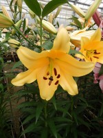 [5177 Corcovado No01.JPG]